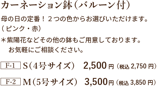 カーネーション鉢（バルーン付）