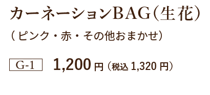 カーネーションBAG（生花）