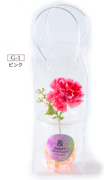 カーネーションBAG（生花）